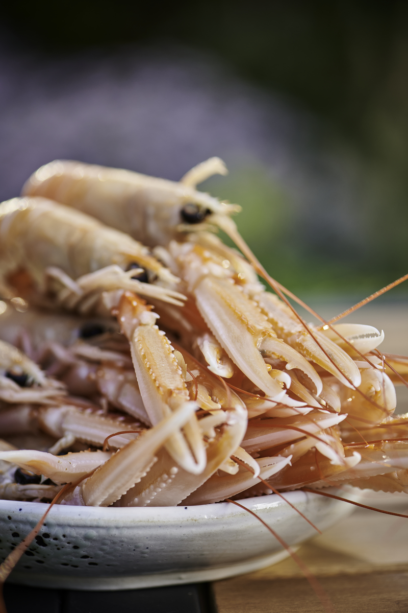 Talianske crostini s avokádovým šalátom a grilovanými langustami